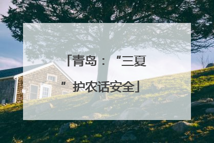 青岛：“三夏”护农话安全